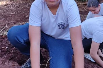 Foto - Junho Verde 2024