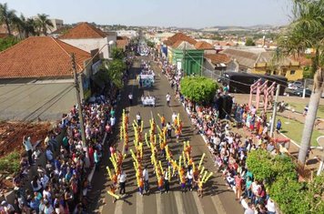 Foto - Desfile Cívico - 07 de Setembro de 2017