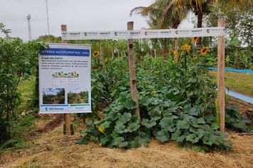 Foto - UENP DIA DE CAMPO ORGÂNICO 2023