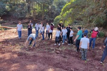 Foto - Junho Verde 2024