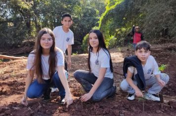 Foto - Junho Verde 2024