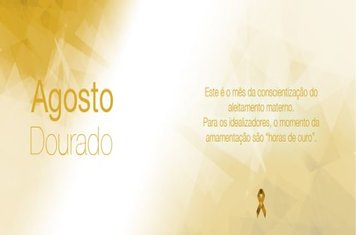 Foto - Meses representativos