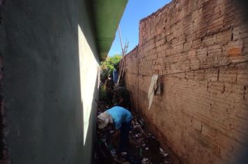 Foto - Mutirão de Combate à Dengue