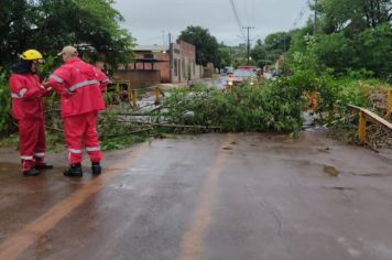 Chuvas voltam a castigar Bandeirantes