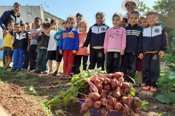 Projeto Horta ‘colhe’ resultados saudáveis em alimentos e nas crianças 