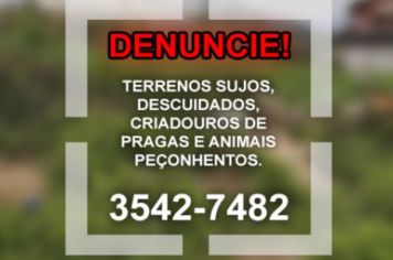 Secretaria de Meio Ambiente está notificando proprietários de terrenos baldios sujos ou em descumprimento à Leis 38.030/19 e 4.096/22.