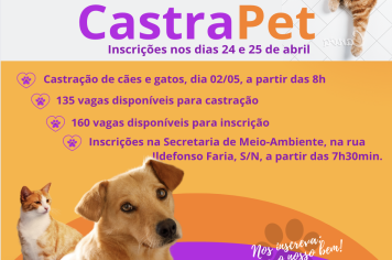 BANDEIRANTES ABRE 135 VAGAS PARA CASTRAÇÃO GRATUITA DE CÃES E GATOS