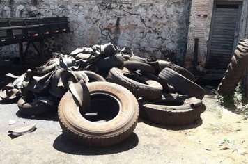 ‘Arrastão da Dengue’ dá início as campanhas de mobilização