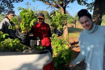 Semana do meio ambiente é comemorada com agenda educativa em Bandeirantes.