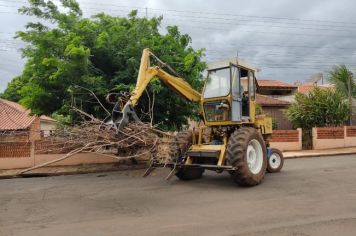 GUINCHO PARA RECOLHIMENTO DE GALHOS COMEÇA A OPERAR ESTA SEMANA