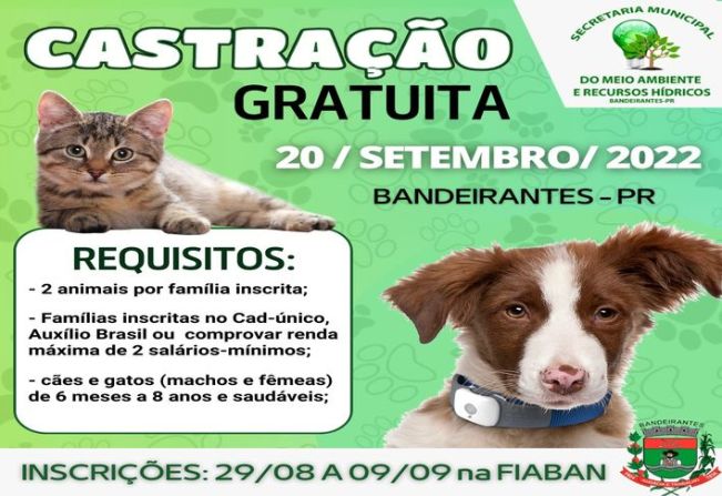 CASTRAÇÃO GRATUITA EM BANDEIRANTES