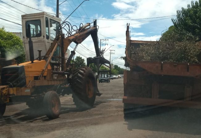 Podas incorretas dificultam o trabalho da secretaria de Meio Ambiente e aumentam riscos de inundações em períodos de chuva.