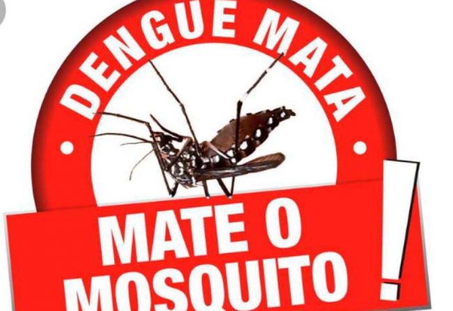 Saúde e Comitê da Dengue convidam para debate de ações de prevenção
