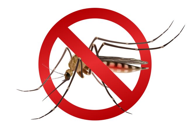 Surto de dengue é preocupação maior da Administração pública. Orientação é para manter terrenos e casas limpas, virar vasos e recipientes que acumulem água.