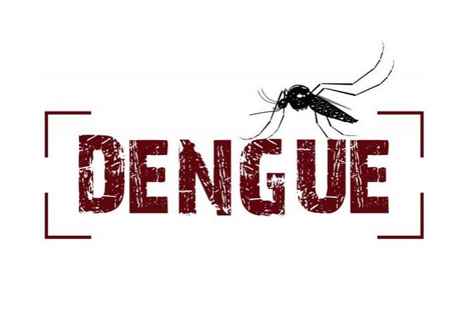 Paraná está em estado de alerta por epidemia de dengue