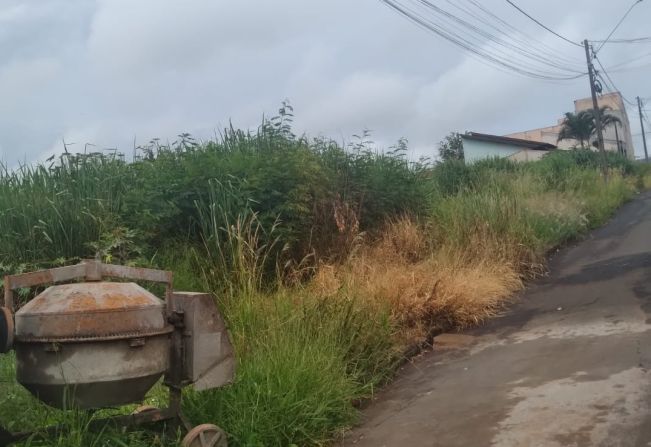 Limpeza de terrenos baldios impede proliferação de pragas e previne toda a sociedade contra doenças.