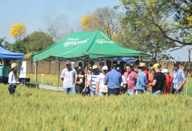 Simpósio em Agricultura destaca desenvolvimento, tecnologia e legislação