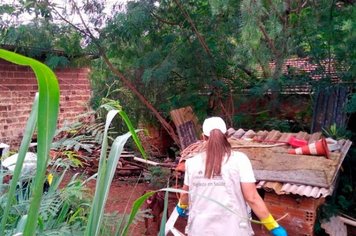 Dados de Dengue no Município