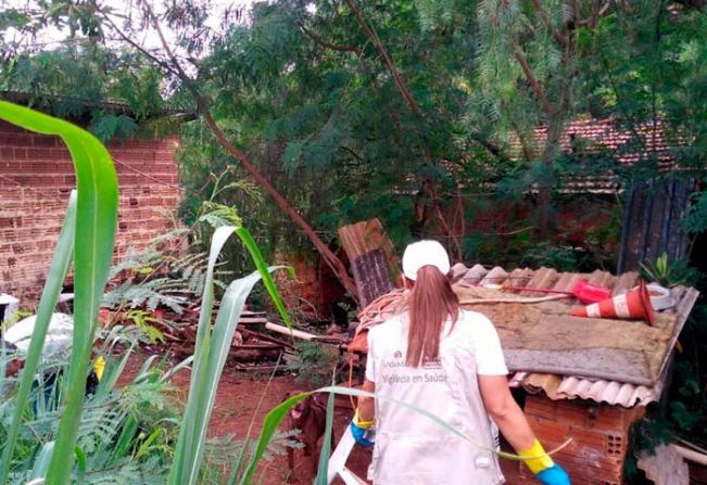 Dados de Dengue no Município